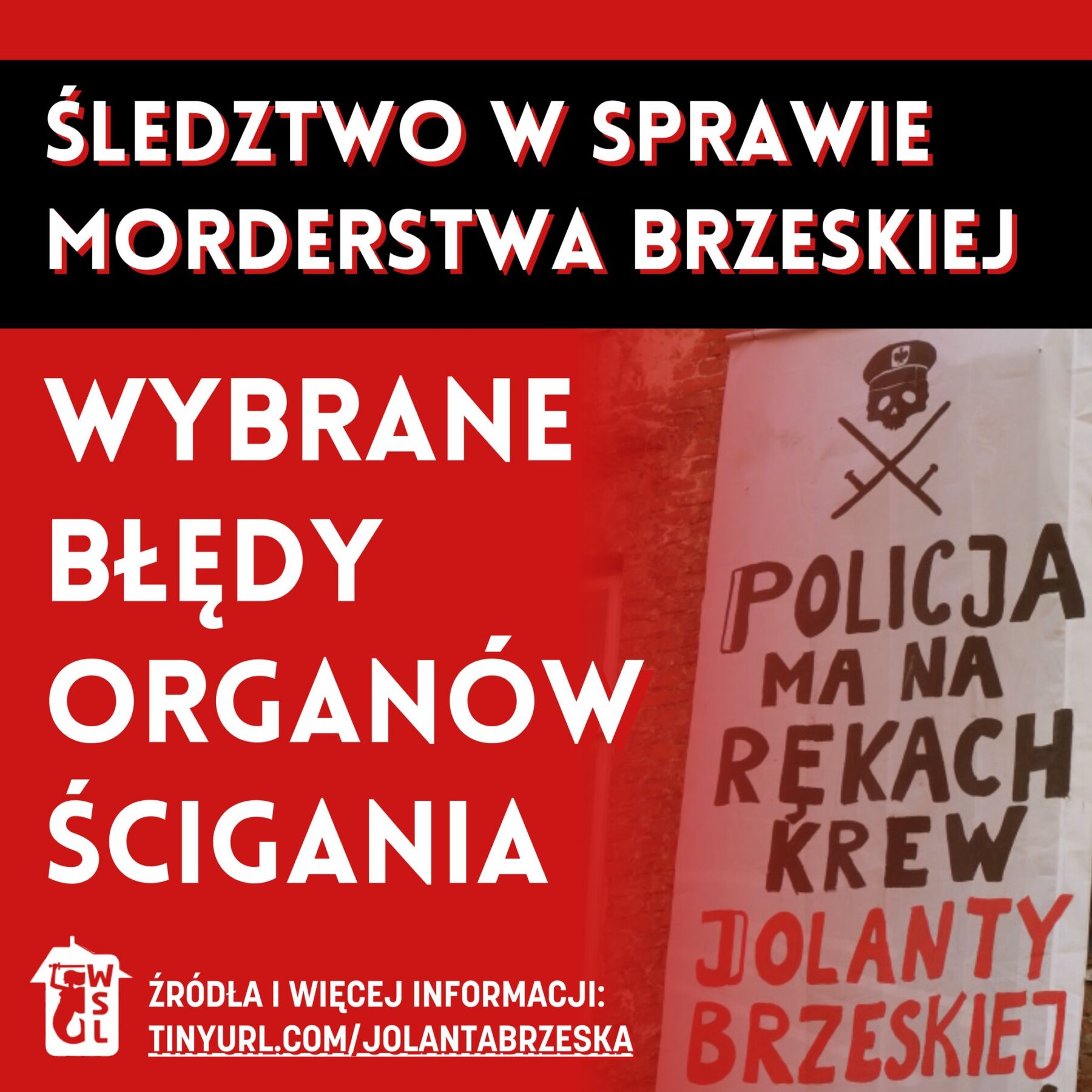 Wybrane błędy organów ścigania ws. zabójstwa Jolanty Brzeskiej