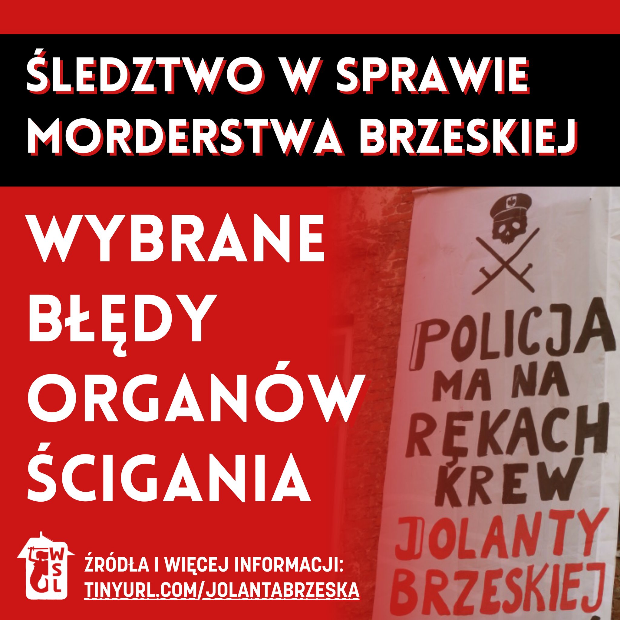 Wybrane błędy organów ścigania ws. zabójstwa Jolanty Brzeskiej