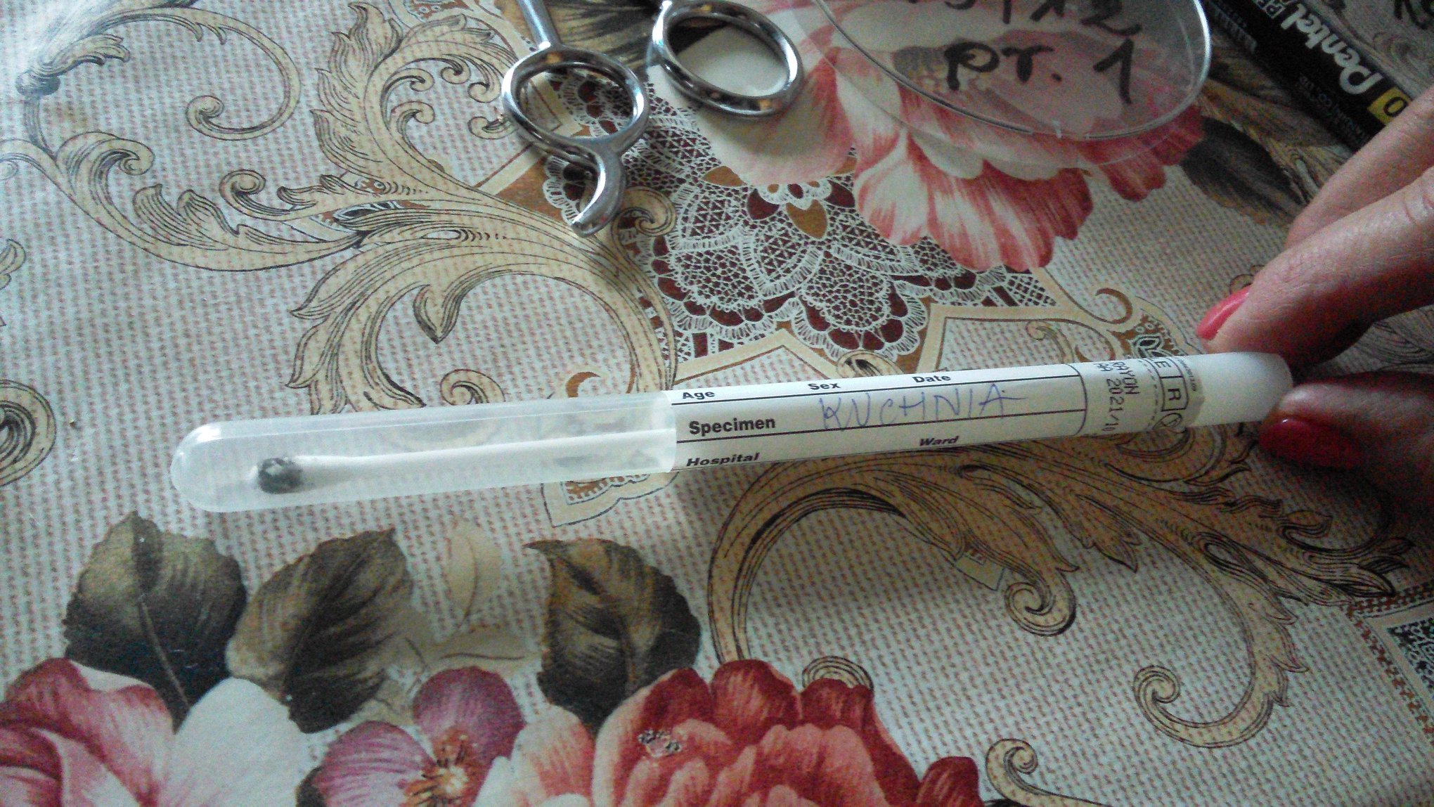 Przeraźliwe wyniki badań w lokalach bez centralnego ogrzewania